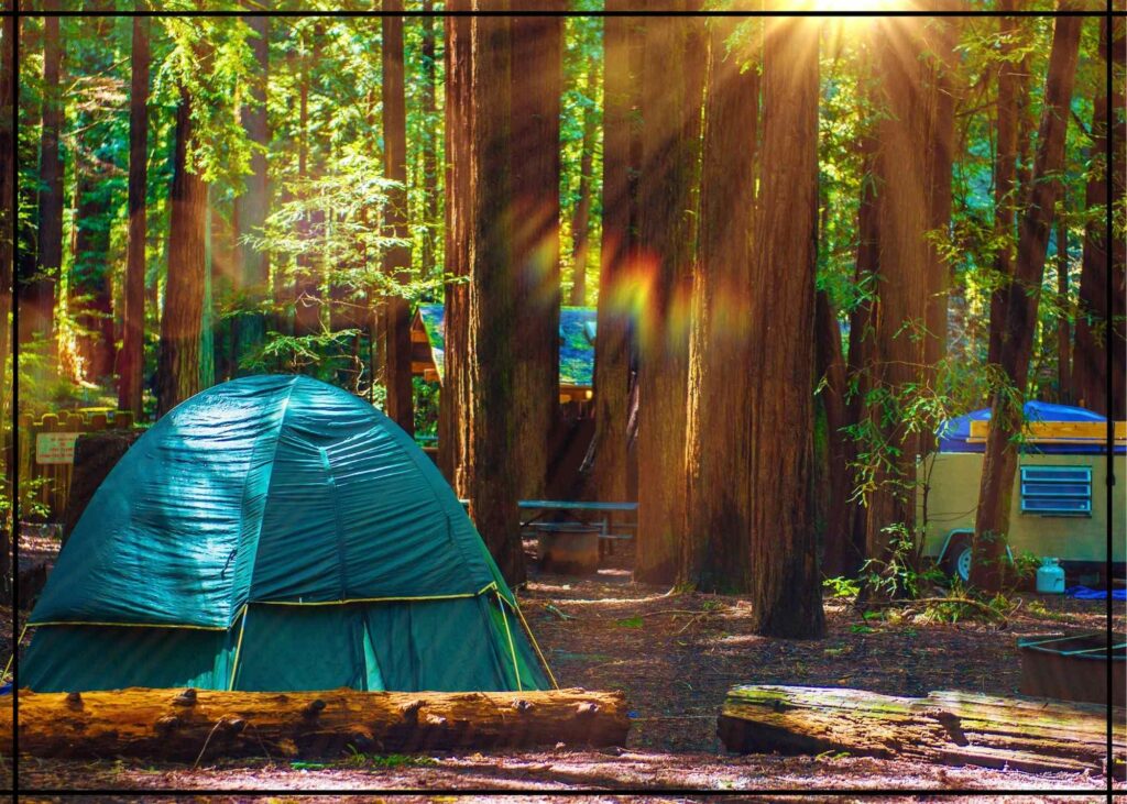 redwoods camping