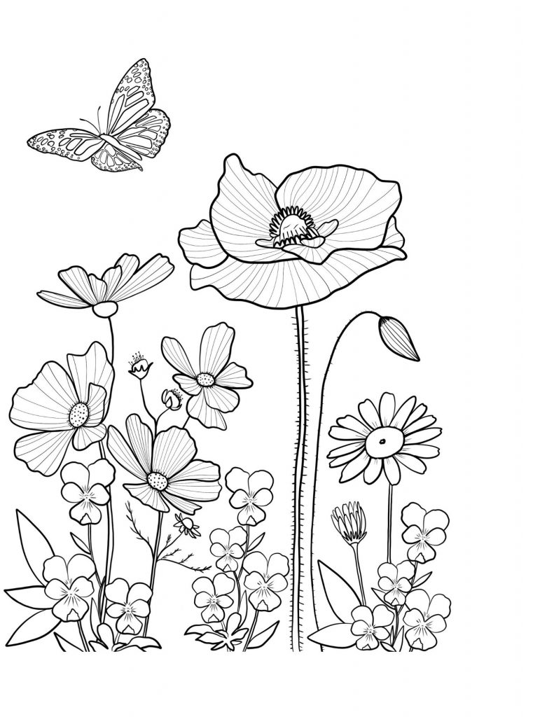 Free wildflower coloring page for camping