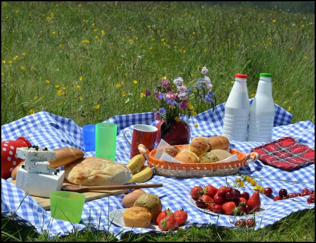 Picnic table cloth set on the grass